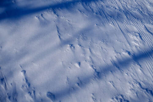 Textures
