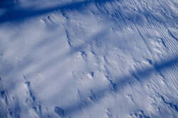 Textures