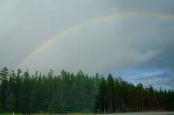 Rainbow from the car