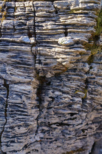 Textures